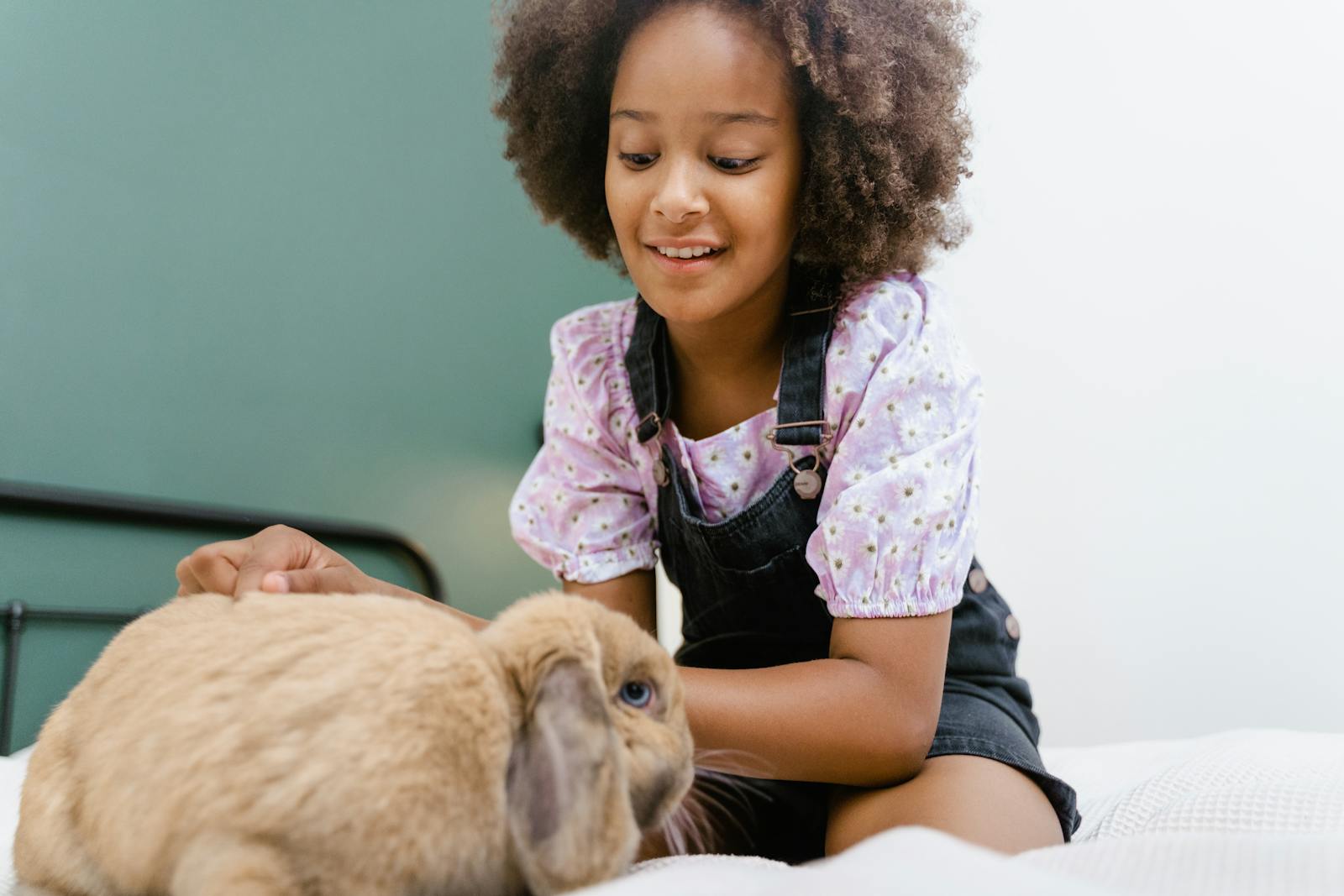 Smiling girl gently playing with a rabbit indoors, showcasing warmth and companionship.