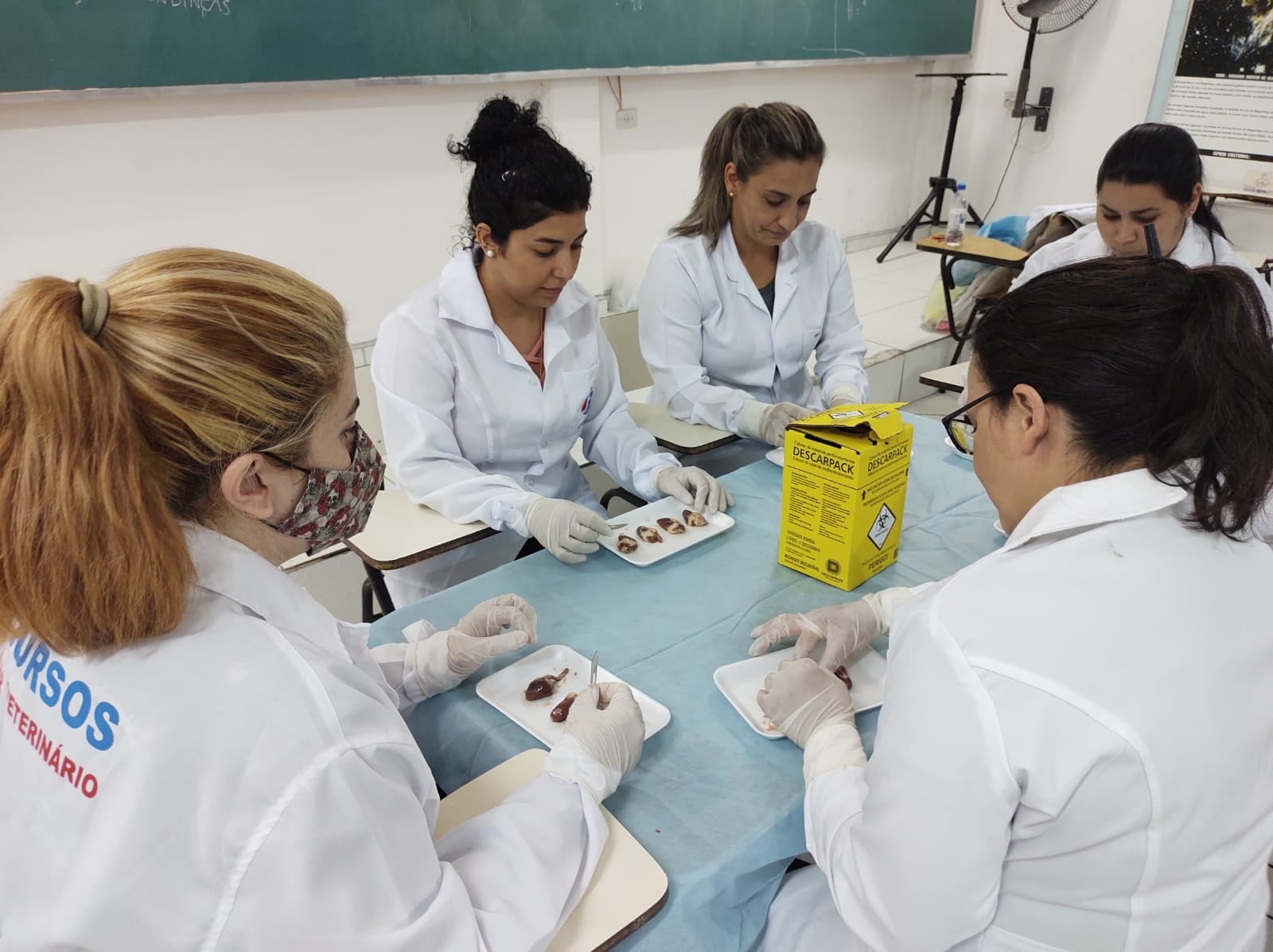 WhatsApp Image 2025-04-08 at 22.38.27 (3)