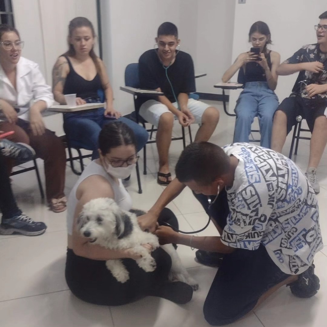 WhatsApp Image 2025-04-08 at 22.38.27 (6)