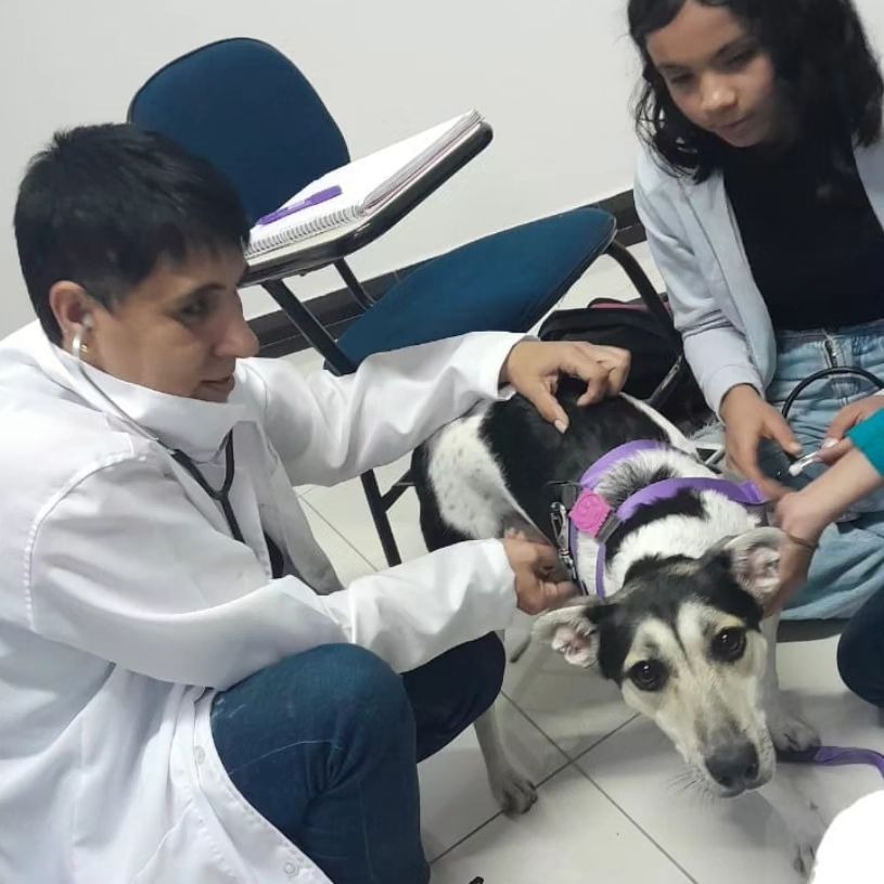 WhatsApp Image 2025-04-08 at 22.38.27 (7)